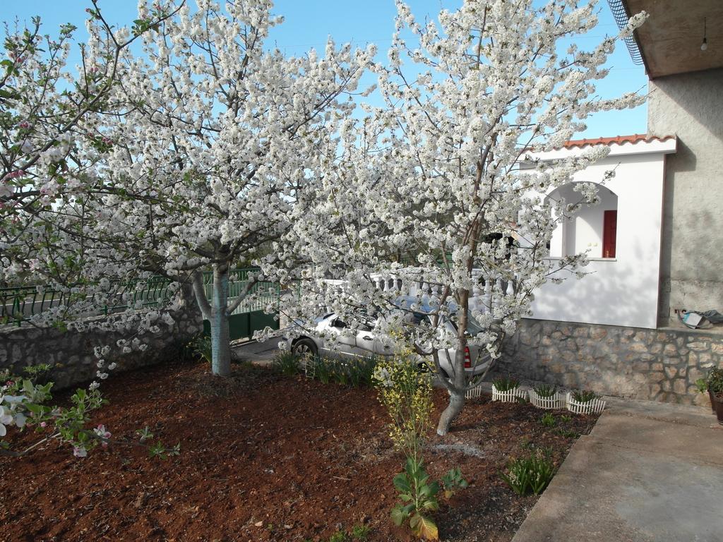 Apartment Antonio Šibenik Kültér fotó