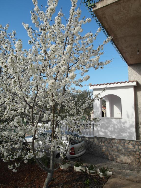 Apartment Antonio Šibenik Kültér fotó